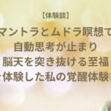 マントラとムドラ瞑想を2年間続けたら自動思考が止まり脳天を突き抜ける至福を体験した私の覚醒体験②