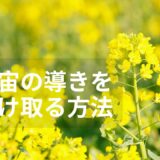 願いが叶わないと感じるあなたへ｜宇宙意識とつながる受け取りの秘訣