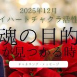 【40代50代女性の虚無感から脱却】ハイハートチャクラ活性化で人生の軸を確立する方法｜2025年12月チャネリングメッセージ