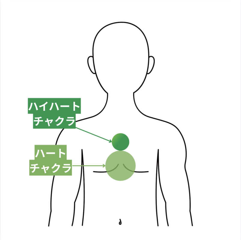 ハイハートチャクラとハートチャクラの位置。ハイハートチャクラは胸腺の場所、ハートチャクラは心臓の上。